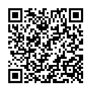 它每一天都在探索和观察那无穷无尽的平行宇宙二维码生成