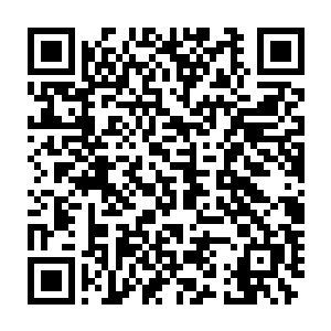它的繁荣很大程度上依靠的是整个永夜世界唯一合法且公开的自由市场二维码生成