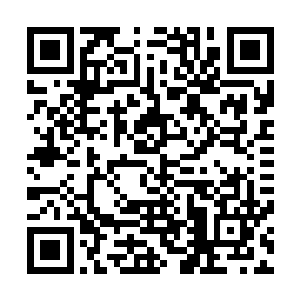 它的美就在于那一片保存完好的天然森林混沌重生君临异界23488二维码生成