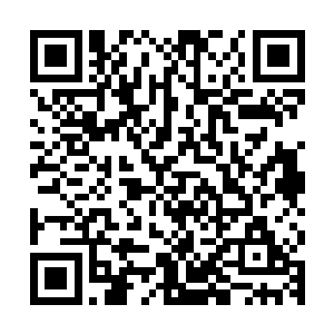 它看到自己无坚不摧的尾钩就象是击中了天下最坚硬的物事一般二维码生成