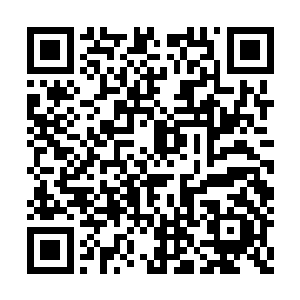 它能对任何武者身上的伤势进行一种全方位恢复二维码生成