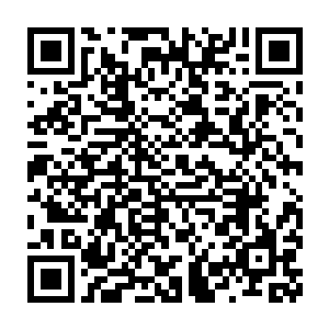 它虽然不明白许星域为什么会突然从一个金色大鹏变成了一个修士二维码生成