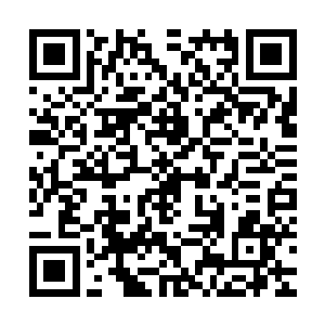 它身上的洪荒纯血可是可以比肩神兽龙族的龙血一般珍贵的宝血二维码生成