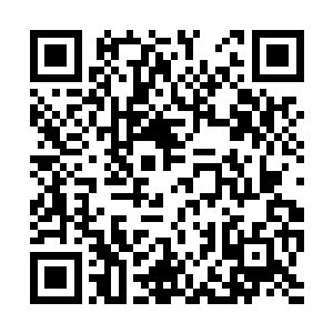 宇宙网里的修士们又能看到混沌域中发生的一切了二维码生成