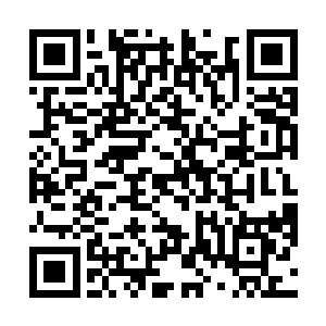 守在们口的保镖皆是不由的以一个奇怪的眼神看着苏凡二维码生成