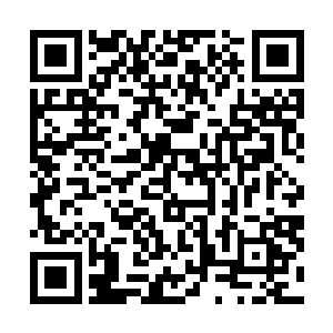 守林人和我大眼瞪小眼到有阳光透过树桠照射到我们身上二维码生成