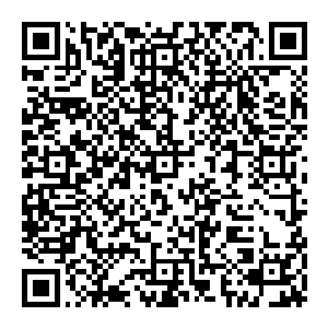 守门的一队守卫懒洋洋的扫了一眼气息不露的披着蓝色斗篷用帽子遮住大半张脸的少女和她身旁的面无表情的血发青年说道二维码生成