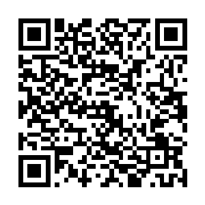 安少大脑思维里的确想不通走路和浪漫怎么扯上关系了二维码生成