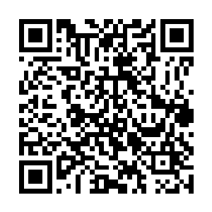 安眠药……就只是一些普通的安眠药……我已经说了二维码生成