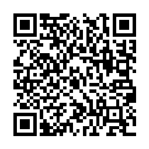 安米妥钠在整个案件过程是一个没有人知道的词汇二维码生成