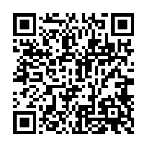 安藤家族……只是这两大家族的高手似乎还没到二维码生成
