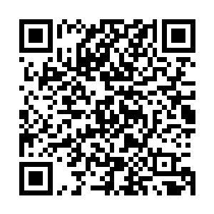 安解组织的头目勒安森一看到林锐就走上来给了他一个拥抱二维码生成