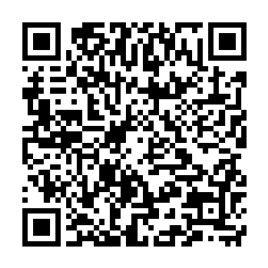 宋先生你的意思是我们东方世家的贵客在你眼中就是所谓的阿猫阿狗吗二维码生成