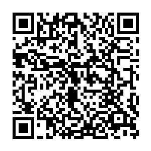 宋祁啸平时就占着自己是宋家的嫡系受宠的子孙便对自己指手画脚二维码生成