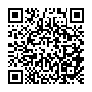 宋落玉和苏谨琴在秘境中的那段儿也是文中的一处重要情节了二维码生成