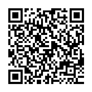 完全不知道自己刚才的一个再平常不过的举动将两人给收服了二维码生成