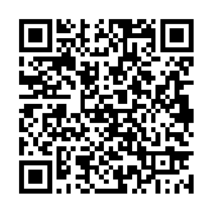 完全不管自己身上是不是已经被暗卫刺出了血窟窿二维码生成