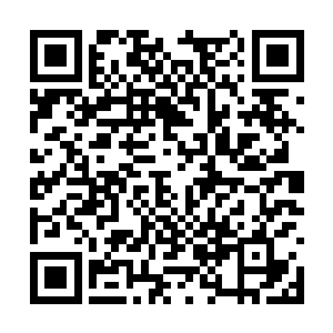 完全就是无数细密如针脚的黑色的金属的鳞片构成二维码生成