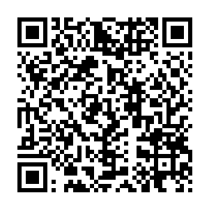完全是给自己找不自在的……尤其是这种偏执狂的实力还强横的令人指二维码生成