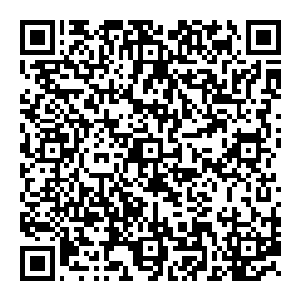 完全有希望将这么大的一块蛮荒神石给挖出来的……他最怕的就是这么一大块的蛮荒神石远比他估计的还要庞大的多二维码生成