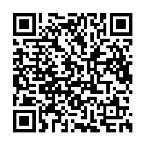 完全没有什么需要李思辰亲自动手做改动的地方二维码生成