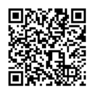 完全炼化的先天灵宝的爆炸的威力可不是那么好应付的二维码生成