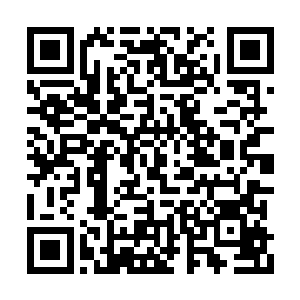 完完全全就是一个普通得不能再普通的普通胖子二维码生成