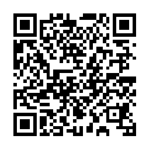 完成任务的凌兰让一号他们送回了学习空间的大厅之中二维码生成
