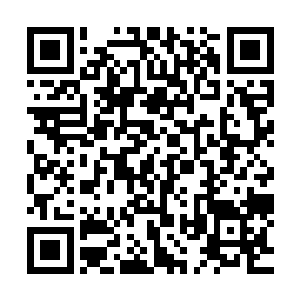 完成后李盈娇起身看了看母亲的遗体眼神中射出仇恨的眼神道二维码生成
