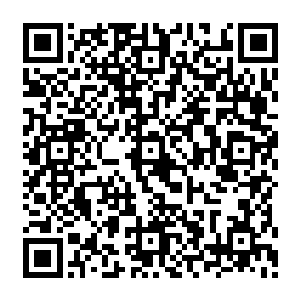 宗内拥有帝级黄泉炼狱幡的也就只有诸位长老和宗主副宗主……难不成他真的杀了华长老二维码生成