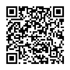 宗非晓与樊重也已经接到了有关成舟海的身份信息二维码生成