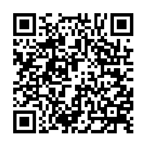 官府到现在都在寻找公主府重要的人物――王管家二维码生成