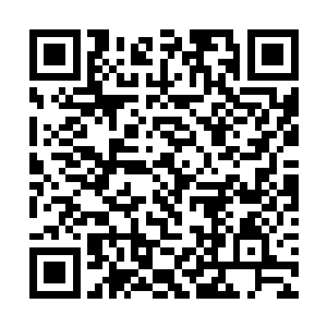 定国王府便推掉了包括宫宴在内的所有的宴请和聚会二维码生成