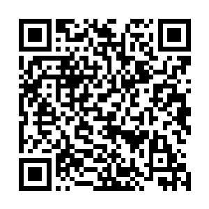 定王府还可以在瞬间组织起一支上百万受过正规训练的军队二维码生成