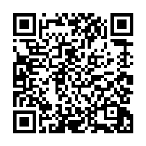 实事上有不少修士将法器中的灵看成一种特殊的灵魂之体二维码生成