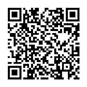 实事上这种倾囊相授的举动在修真界是并不多见的二维码生成