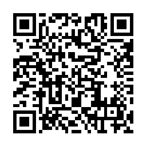实力绝对比修炼其他的顶级真武秘典的武者实力更胜一筹二维码生成