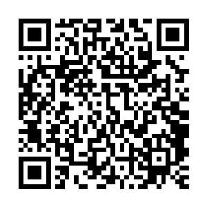 实在不想耽误了你们发扬风格怕毁坏了你们仁心神医的光辉形象二维码生成