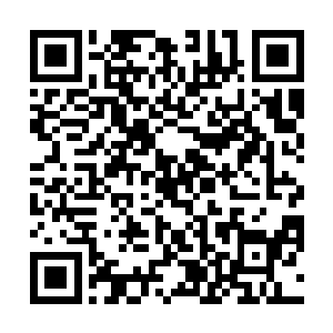 实在不行咱们可以使用小型的传送阵和阵法来保护周围二维码生成