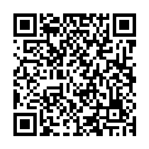 实在太克制陈诚这种以前期无限游走抓人建立优势的既定打法了二维码生成