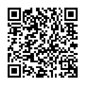 实在想不到这样规模的穿孔似的洞穴通道竟然是石虫制造出来的二维码生成