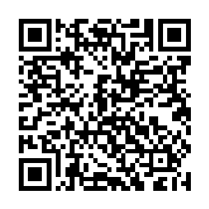 实在无法相信这个属性为什么会出现在一个铠甲之上二维码生成