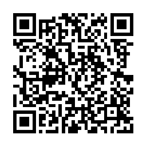 实在是……实在是我无法查……亦不忍一错再错二维码生成