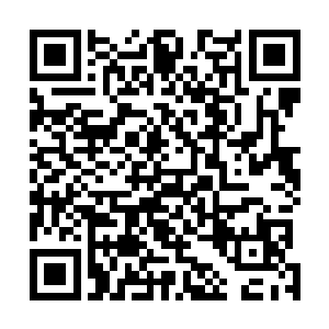 实在是他们还不够那个资格……那就是在等待更强的对手二维码生成