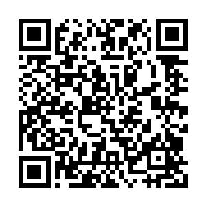 实在是凌天第一次与实力差距这么悬殊的人战斗二维码生成