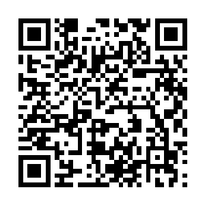 实在是并非每个能活到现在的修士都能斩获大量定位法镯二维码生成