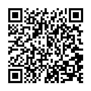 实在是有点搞不懂秦方明明也拥有着极为不错的赌术二维码生成