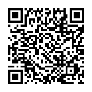 实在轮不到自己这么一个外来户在这里装什么大头蒜二维码生成