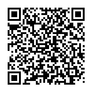 实的忍不住了直接转过了脑袋偷笑了一下等着脸又板了起来这才转了回来二维码生成
