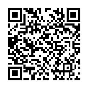 实际上他们就是被陈凌这一招给耍了整整半个小时二维码生成